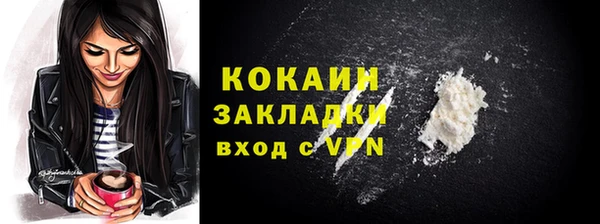 кокс Алексин