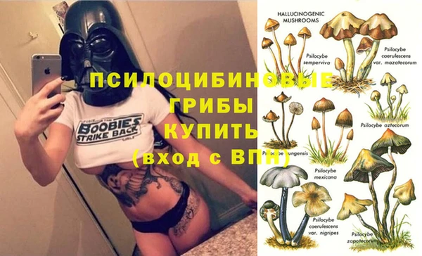 кокс Алексин